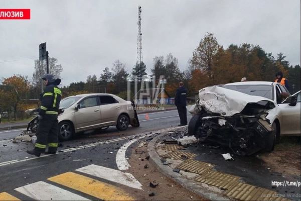 Двое детей и водитель погибли в жутком ДТП в Псковской области