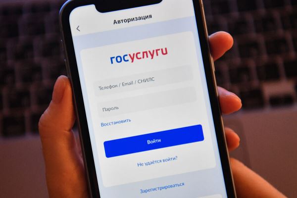 В ГД внесли законопроект, позволяющий оформить европротокол на «Госуслугах»